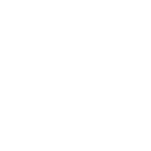 Solar White icon